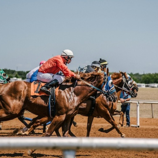 Budapest-Horse Racing-5