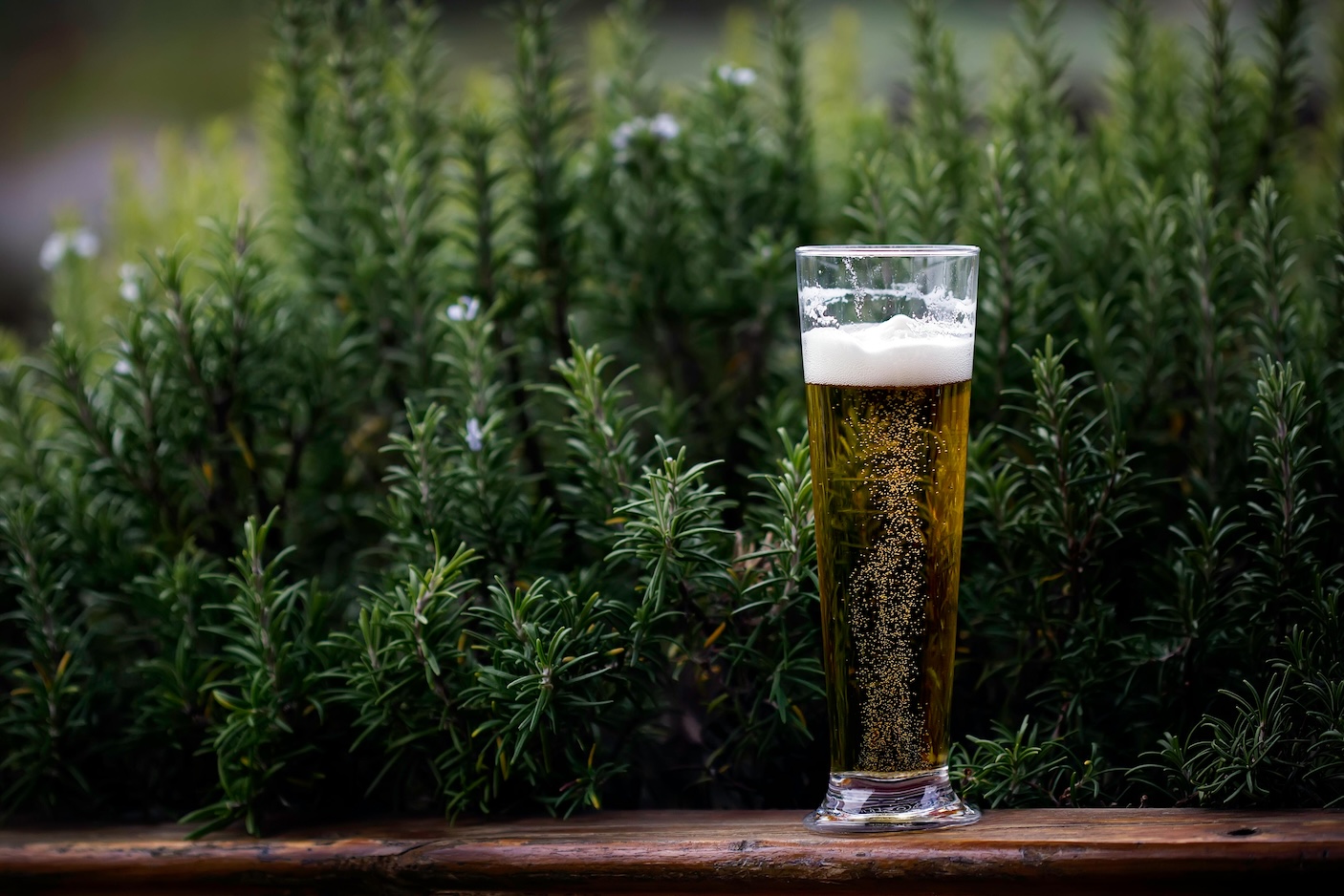 Draußen trinken